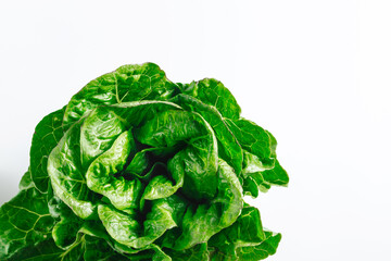 Green salad on a white background, top view. The concept of proper nutrition and dietetics