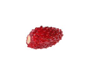 One ripe wild strawberry isolated on white