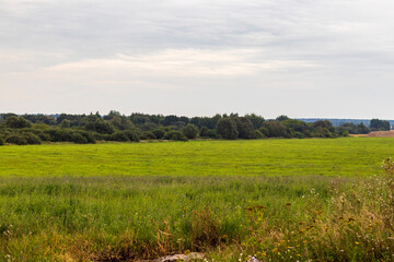 Fototapeta na wymiar Landscape shot of the field in the village. Nature