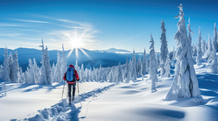 a man is walking with skis through a beautiful winter landscape on a sunny day