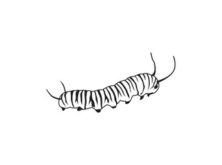 caterpillar vector hand drawing isolated on white