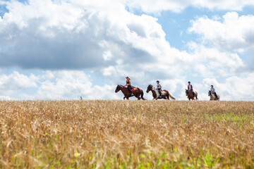 Horseback riding. Horseback riding. Young women equestrians in the distance ride horses through a...