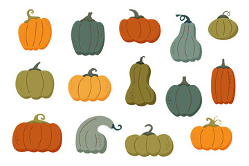 Set of colourful autumn pumpkins. Harvest and Thanksgiving concept. 