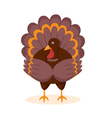 Thanksgiving concept. Turkey bird on white background. Character.	
