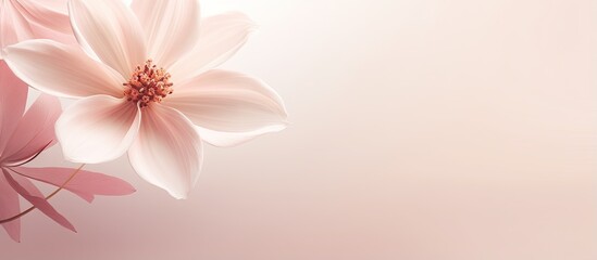 Stunning neutral colors capture the beauty of flowers in natural settings isolated pastel background Copy space