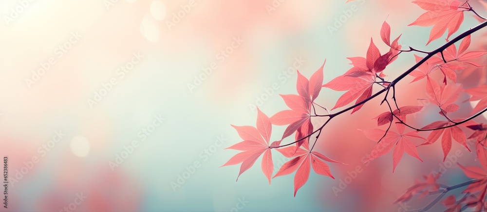 Poster background with blurred red leaf shoots isolated pastel background copy space