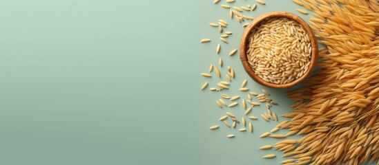Dry golden paddy jasmine rice in a bamboo basket isolated on a isolated pastel background Copy space