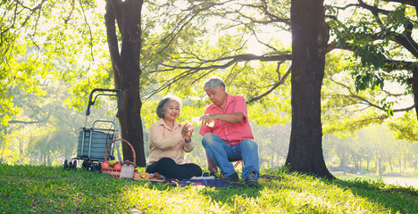 Happy elderly Asian couple sitting picnicking in an outdoor park. Living life in retirement. Health...