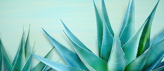 Top view of an Agave plant isolated pastel background Copy space