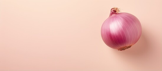 Top view of a ripe onion against a isolated pastel background Copy space