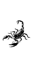 illustration of a black and white scorpion