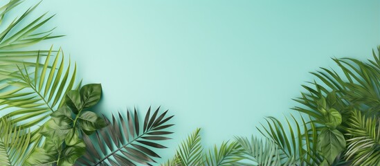 Naklejka premium Black isolated pastel background Copy space with tropical tree leaves and branches for foliage backdrop