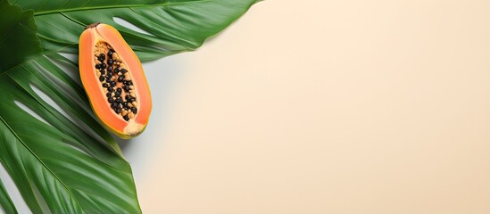Isolated green leaf on a isolated pastel background Copy space with fresh tropical papaya fruit - obrazy, fototapety, plakaty