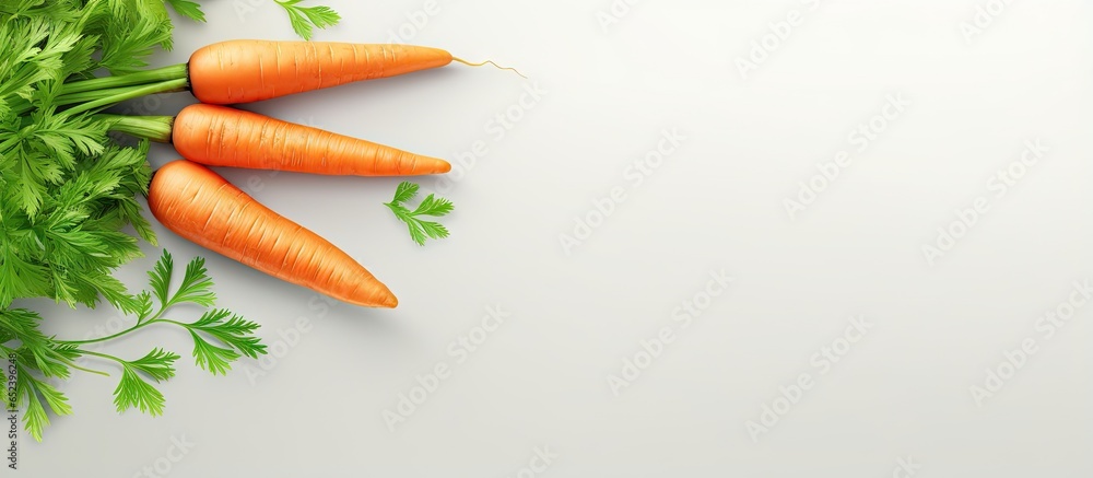 Poster carrots on a isolated pastel background copy space with clipping path