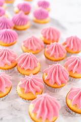 Mini Vanilla Cupcakes with Pink Buttercream Frosting