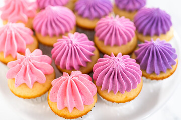 Mini Vanilla Cupcakes with Pink Buttercream Frosting