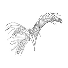 Vintage floral composition with line palm leaves on white. Romantic design for natural cosmetics, perfume, women products. Can be used for greeting card, wedding invitation.