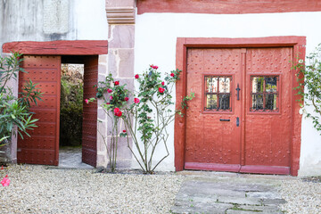 Old red doors with wrought iron details and colorful rose plant