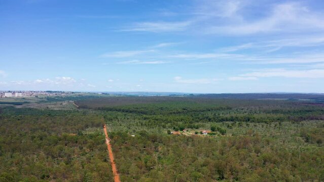 Floresta Nacional de Bras&iacute;lia, vista a&eacute;rea, foco seletivo