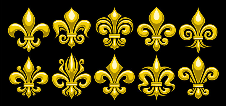 Vector Fleur de Lis set, horizontal banner with lot collection of 10 cut out illustrations of variety yellow fleur de lis lily flowers, group of many different ornate art symbols on black background