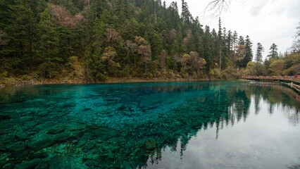 A turquoise green lake reflects the surrounding mountains with pristine clarity in Jiuzhaigou, China