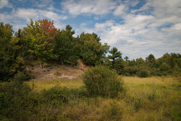 Obraz premium Keweenaw Fields