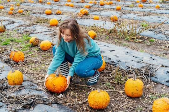 Smiling young woman on the pumpkin patch field, selecting the best pumpkins for Thanksgiving and Halloween holidays decoration on agriculture farm. Pumpkin harvest. Autumn fall festive mood.