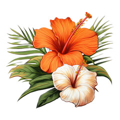 Vintage orange and white Hibiscus with foilage, a pirate Island graphic for stickers, t-shirts, etc. in a Tropical-themed,  illustration in a transparent PNG, cutout, and isolated. generative ai