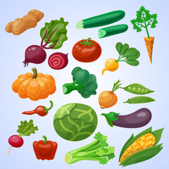 collection of vegetables vector vegetables collection cartoon vector icon illustration food nature icon concept isolated flat
