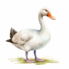 goose color cartoon drawing on white background.