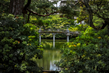 A beautiful bridge spanning a pond on the castle grounds in Kyoto, Japan.