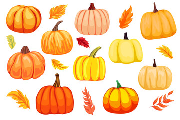 Set of different pumpkins, autumn season, autumn leaves, clip art, cartoon pumpkins for holiday decoration  