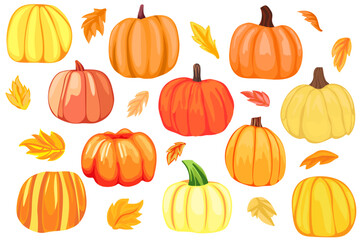 Set of different pumpkins, autumn season, autumn leaves, clip art, cartoon pumpkins for holiday decoration  