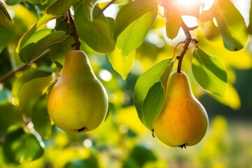 Pear fruits branch. Generate Ai