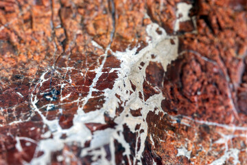 natural stone texture with veins. close up background.