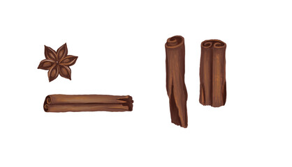 set of cinnamon sticks and star anise. Christmas and New Year decorations