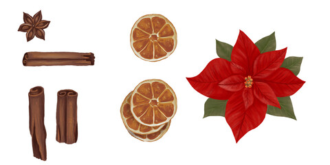 Watercolor set of dried oranges, cinnamon and poinsettia flower for Christmas decoration
