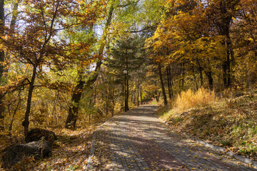 Autumn landscape in the park. The road in the autumn forest.