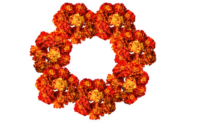 A set of flowers. beautiful marigold flowers isolated on white background Indian flowers for...