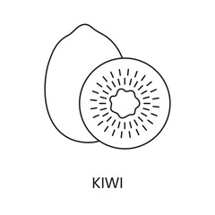 Kiwi line icon in vector, fruit illustration.