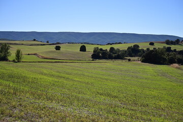 Ribatajadilla ,  Cuenca