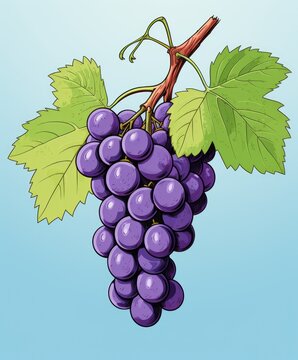 purple grape illustration, in the style of bold outlines, flat colors.