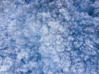 Scene of the snowfall in Bracons, La Garrotxa, Girona, Spain