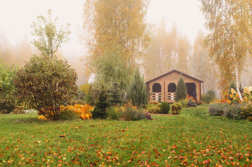 autumn garden view with tiny wooden country house. Foggy october day in natural wild garden with green lawn.