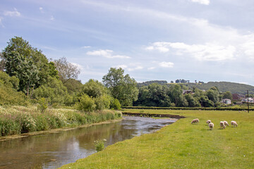 Summertime river in the UK.