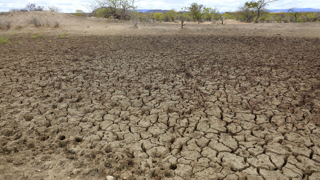 curaca, bahia, brazil - september 17, 2023: view of cracked earth in a dry dam due to drought in the backlands of Bahia