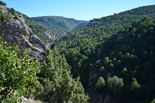 Mirador del t&iacute;o Cogote , Villalba de la sierra