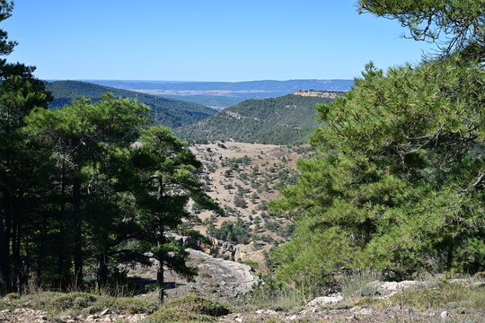 Mirador del t&iacute;o Cogote , Villalba de la sierra