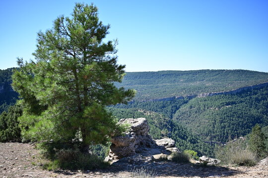 Mirador del t&iacute;o Cogote , Villalba de la sierra