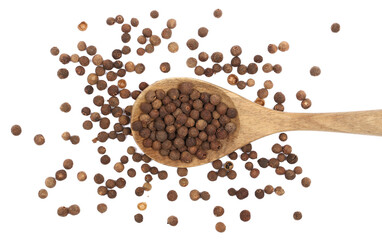  Allspice, pimento spice, Jamaican pepper pile in wooden spoon isolated on white, top view
